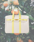 The Canvas Birkie - Yellow